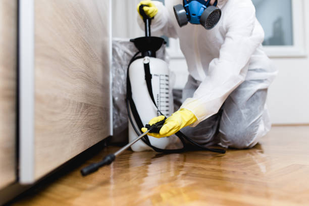 Best Residential Pest Control  in Herald, CA