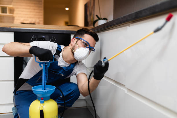 Best Pest Prevention Services  in Herald, CA