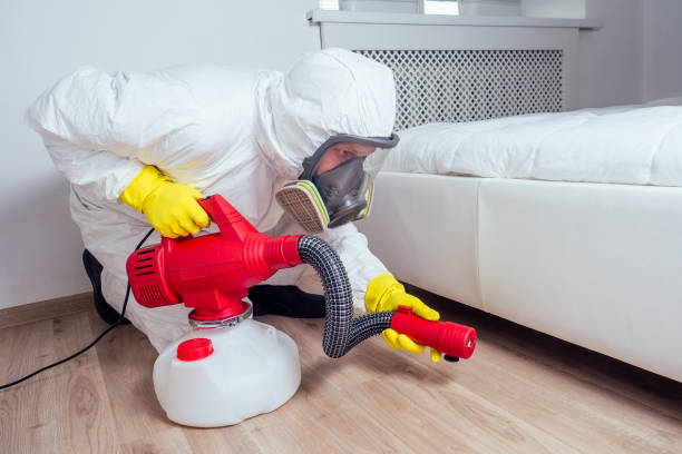 Pest Prevention Services in Herald, CA