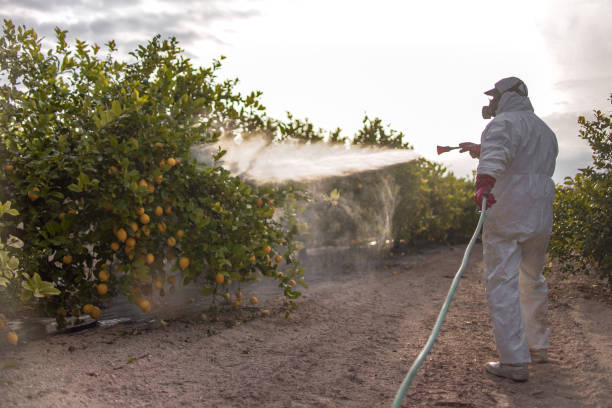Best Flea Control Services  in Herald, CA