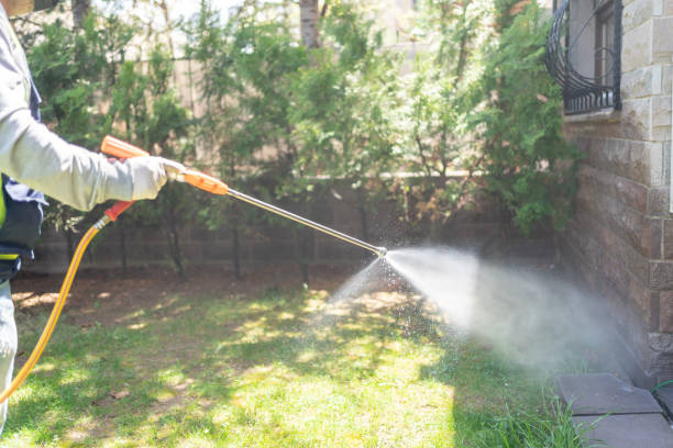 Best Rodent Control Near Me  in Herald, CA