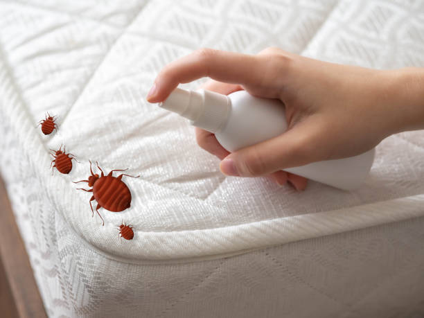 Reliable Herald, CA Pest Control Solutions