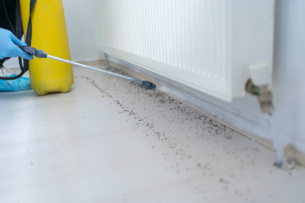 Pest Control Cost in Herald, CA