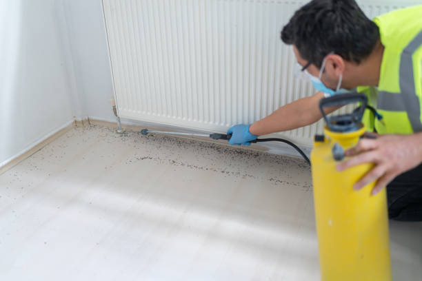 Best Affordable Pest Control Services  in Herald, CA