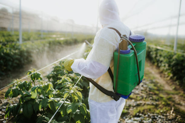 Best Pest Control Near Me  in Herald, CA